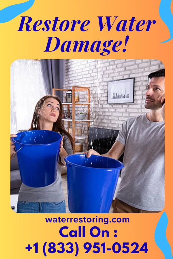 water restoration Pinnacle Cleanup LLC Chesterhill