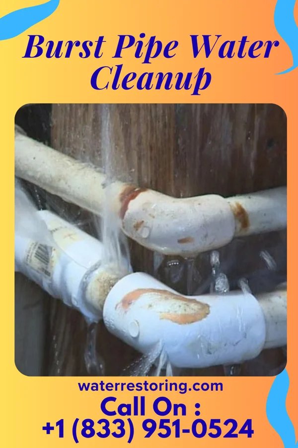Burst Pipe Water Cleanup in Chesterhill, OH