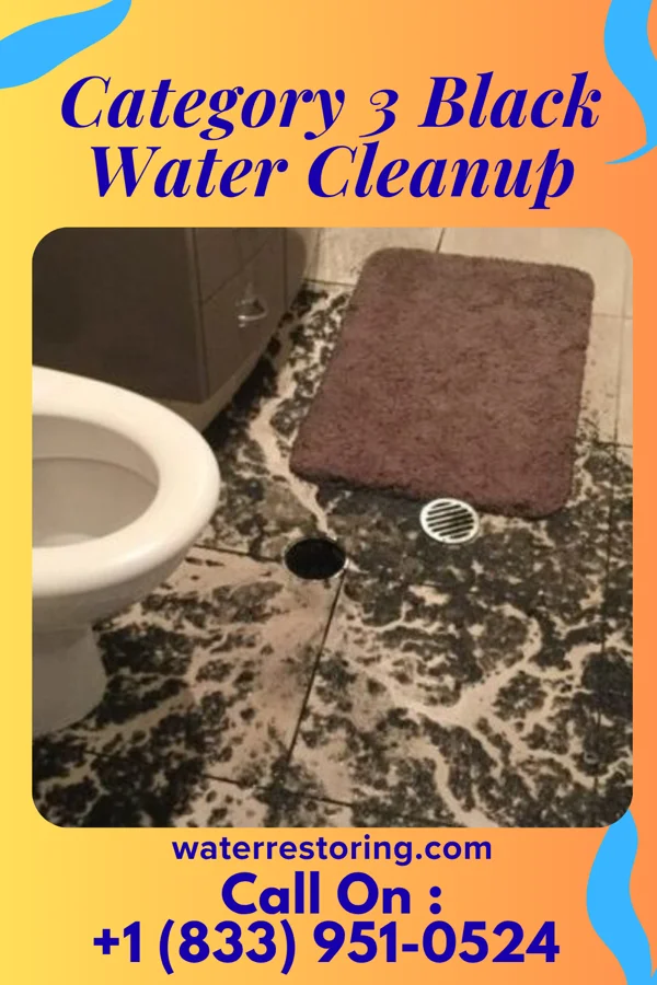 Category 3 Black Water Cleanup in Chesterhill, OH