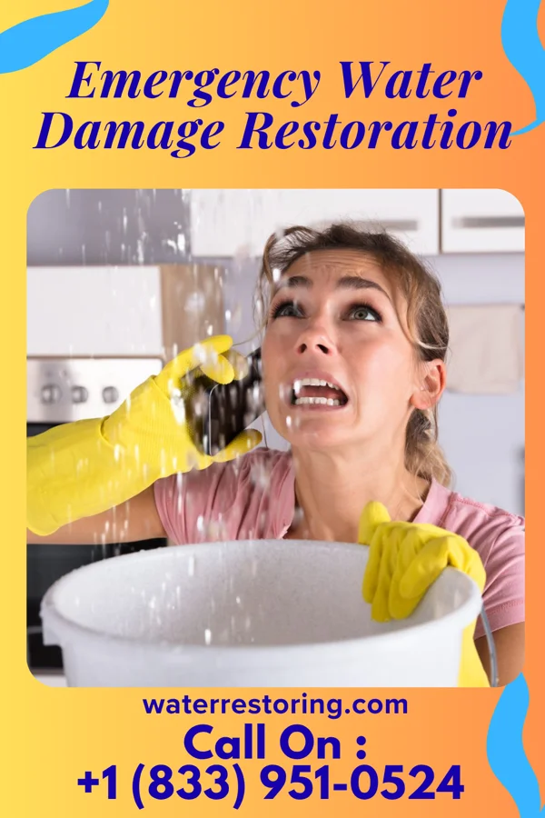 Emergency Water Damage Restoration in Chesterhill, OH