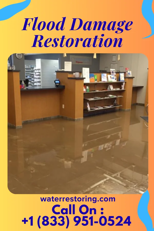 Flood Damage Restoration in Chesterhill, OH