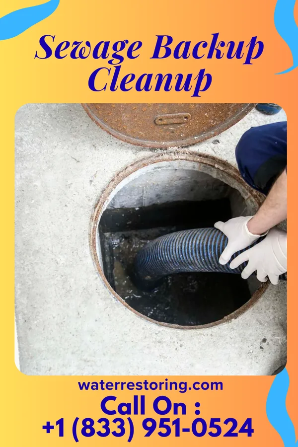Sewage Backup Cleanup in Chesterhill, OH