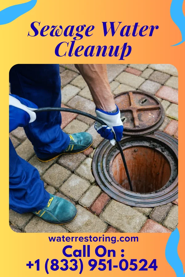 Sewage Water Cleanup in Chesterhill, OH